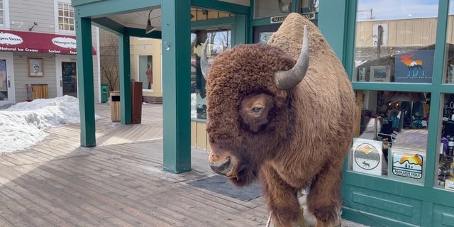 Outside shop in Jackson, WY.