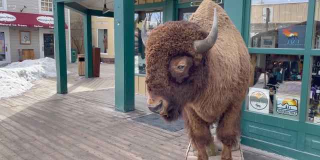 Outside shop in Jackson, WY.