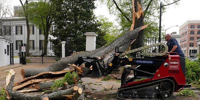 A state grounds engineer uses a mini skid steer to remove some of the limbs and trunk from this downed tree that was felled by strong winds on the grounds of the Mississippi Governor's Mansion onto a main intersection of downtown Jackson, during an outbreak of severe weather in the state, Wednesday, March 30, 2022. A section of the security fence and the decorative brick wall was damaged by the tree. 