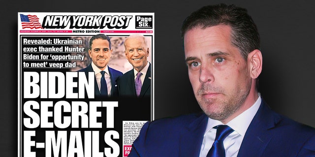 Douglas Wise, one of the ex-intel officials who signed the letter dismissing the New York Post's reporting on Hunter Biden, now admits most of what was found in the emails 