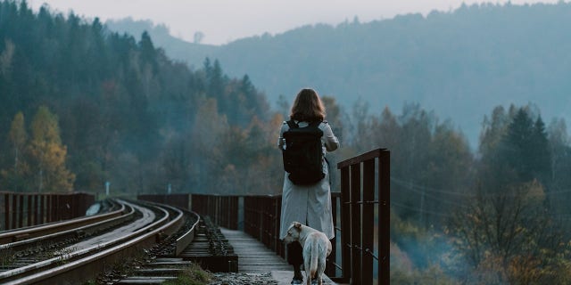Many Ukrainians have been forced to abandon their pets due to the difficulties of traveling with animals.