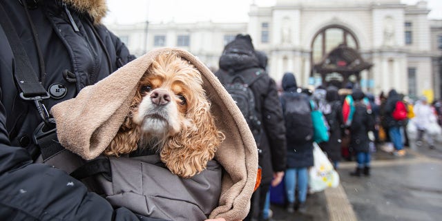 Ukrainian refugees wait at Lviv railway station for a train to escape to Europe on March 7, 2022.