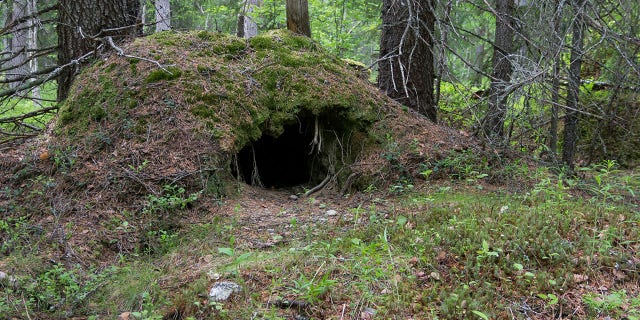 California man pleads guilty to stealing bear cubs from den 2 The California Department of Fish and Wildlife urges residents to avoid disturbing bear dens.