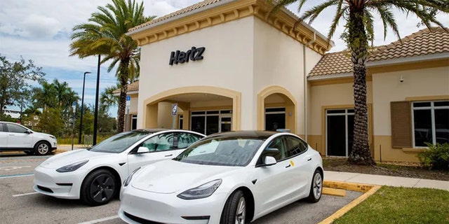 Hertz is adding Teslas to its fleet.