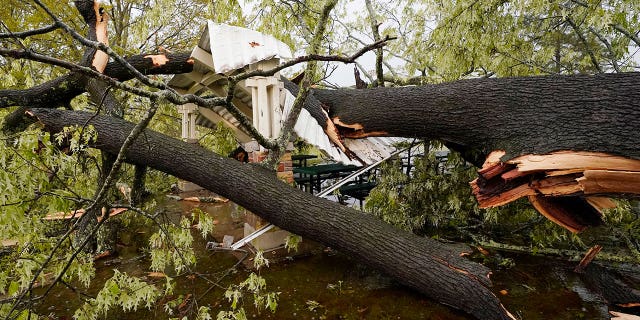 A tree toppled by the storm rests on the roof of a gazebo at Battlefield Park in Jackson, Miss., following a severe weather outbreak in the state, Wednesday, March 30, 2022. About a dozen trees were felled by the storm in the park. (AP Photo/Rogelio V. Solis)