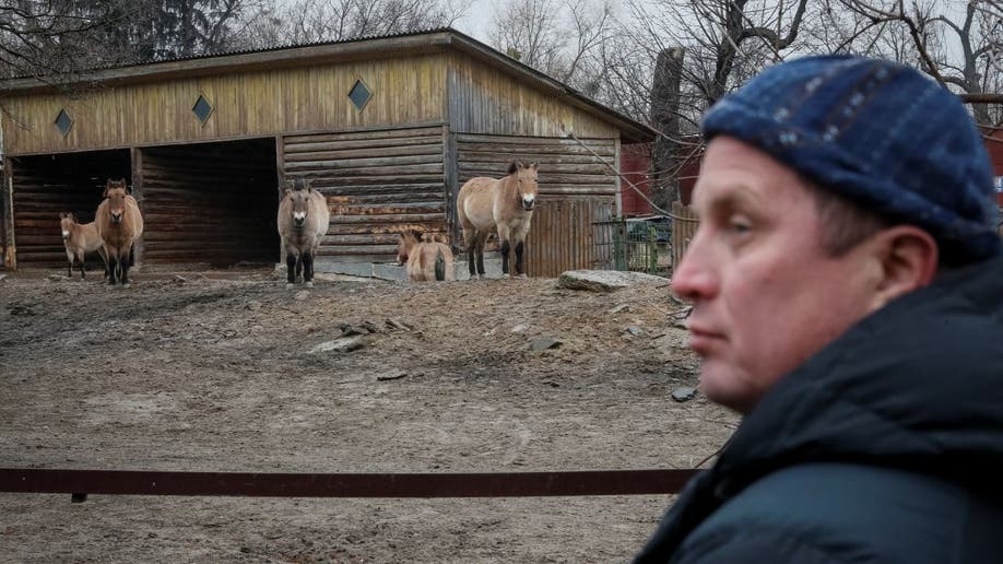 Kyiv Zoo Director Trantin Kirill looks at animals during Russia-Ukraine war