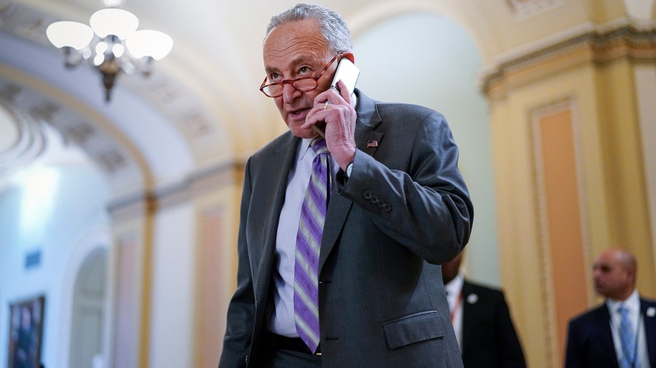 Schumer-aligned group pulled in $270M from secret donors in recent years as he decried dark money