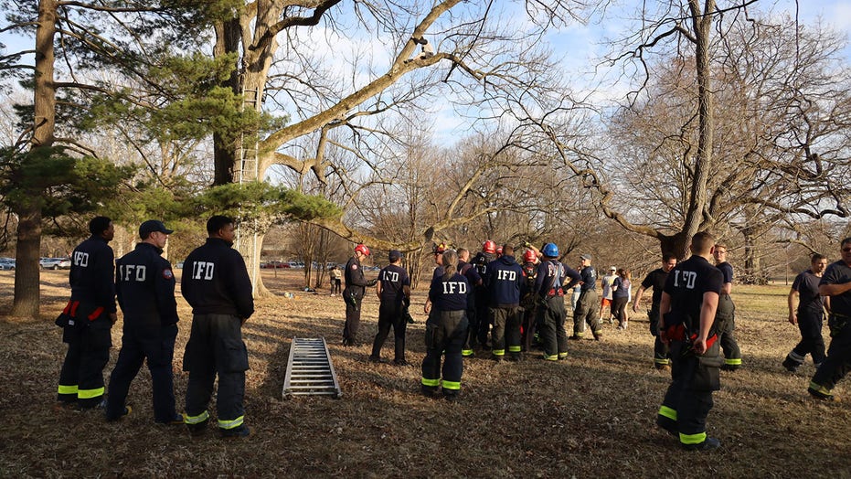 Indianapolis fire fighters rescue teen who got stuck in tree trying to rescue a cat