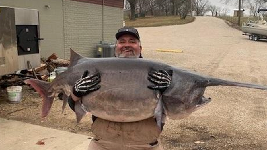 Illinois man catches 140-pound paddlefish, setting new fishing record in Missouri