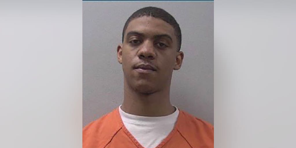 Third South Carolina mall shooting suspect arrested following six-day manhunt - Vimarsana News
