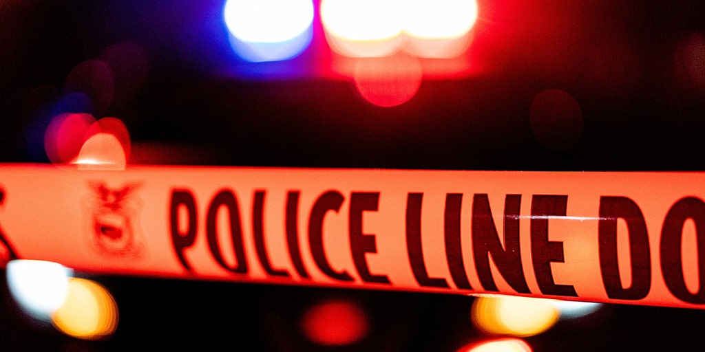 Strategists and political experts weigh effect of GOP's focus on crime ahead of midterms - Vimarsana News