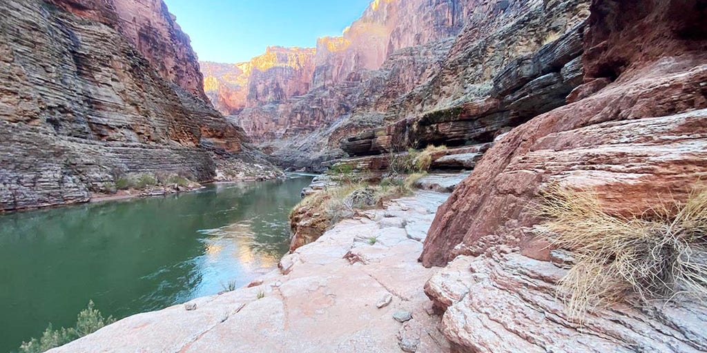 Utah woman dead after fall at Grand Canyon, 4th this year - Vimarsana News