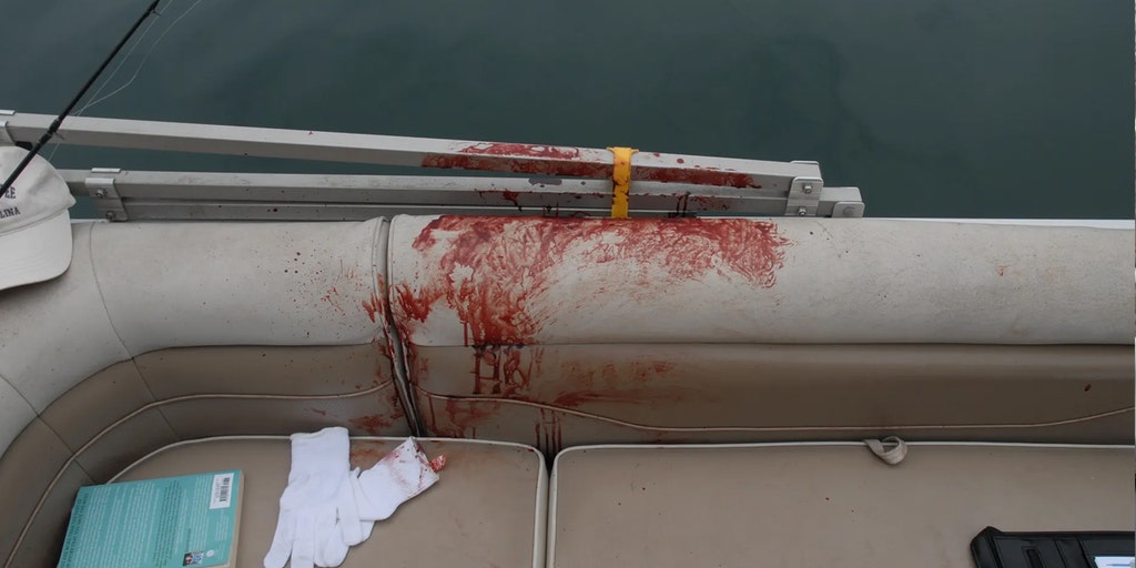Lake Keowee 911 calls reveal harrowing struggle between boater and man he saved from drowning, then shot - Vimarsana News
