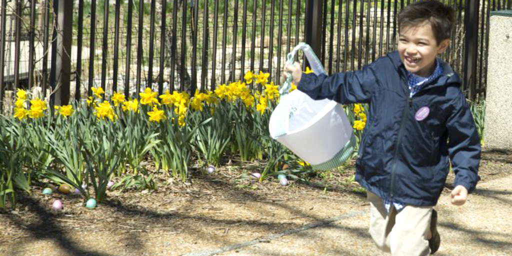 Easter 2022: Egg hunts return across America after COVID-19 pandemic - Vimarsana News