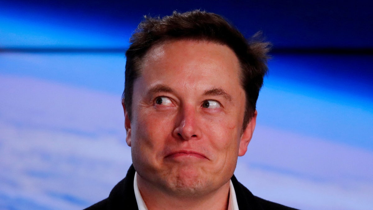 Tesla co-founder and CEO Elon Musk