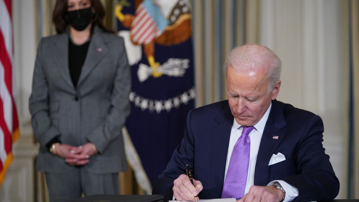 Joe Biden, Elections