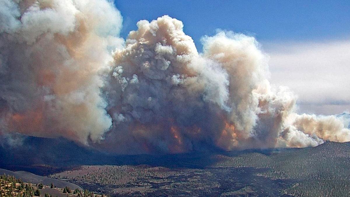 In this photo provided by the Coconino National Forest, the Tunnel Fire burns near Flagstaff, Ariz., on Tuesday, April 19, 2022. (Coconino National Forest via AP)