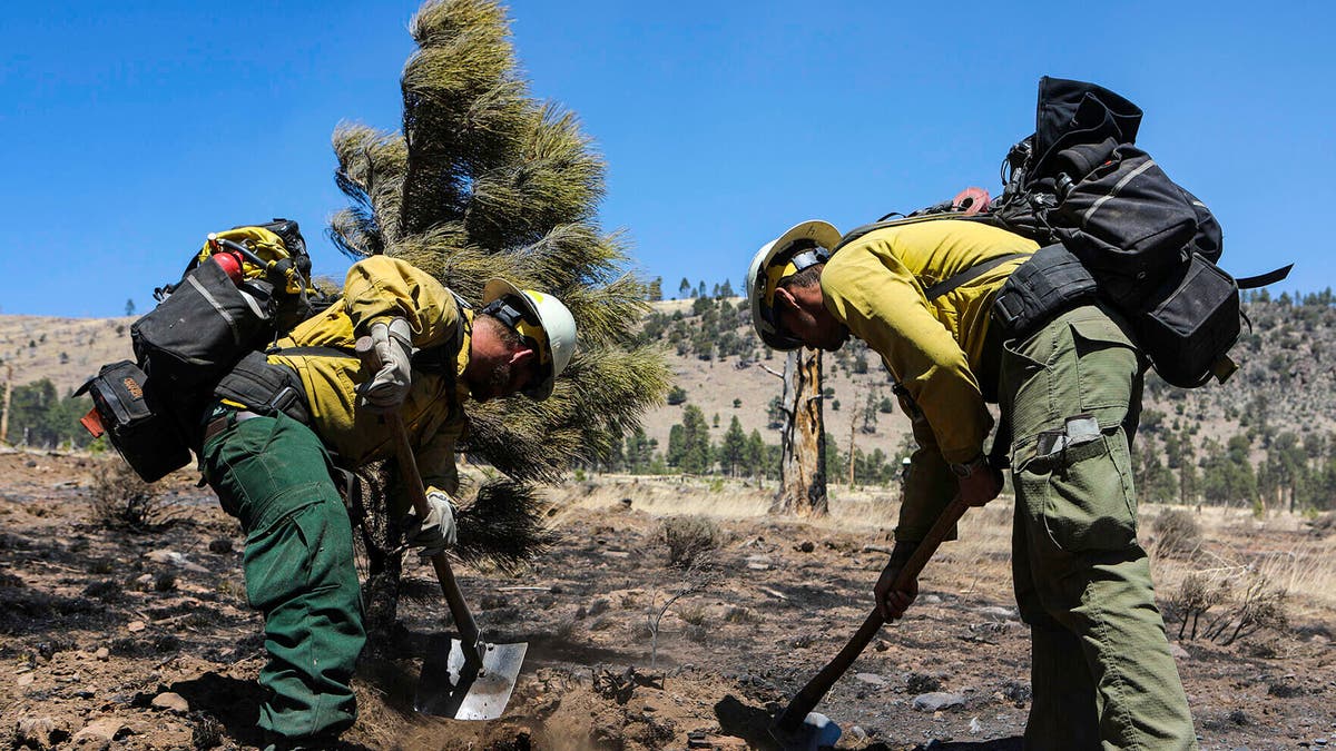 Two firefighters monitor hot spots from a wildfire burning on the outskirts of Flagstaff, Ariz., Thursday, April 21, 2022. (Rachel Gibbons/Arizona Daily Sun via AP)