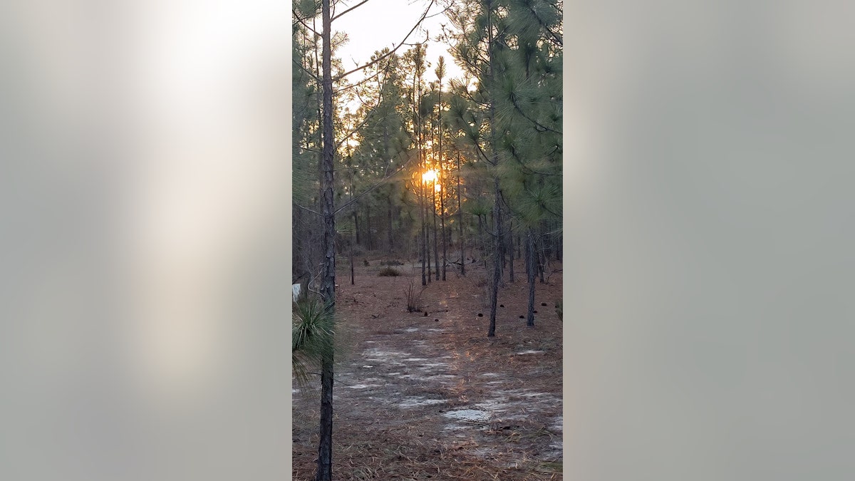 The view from Bob's campsite