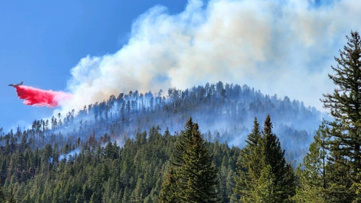 A helicopter over New Mexico's Calf Canyon and Hermits Peak Fires