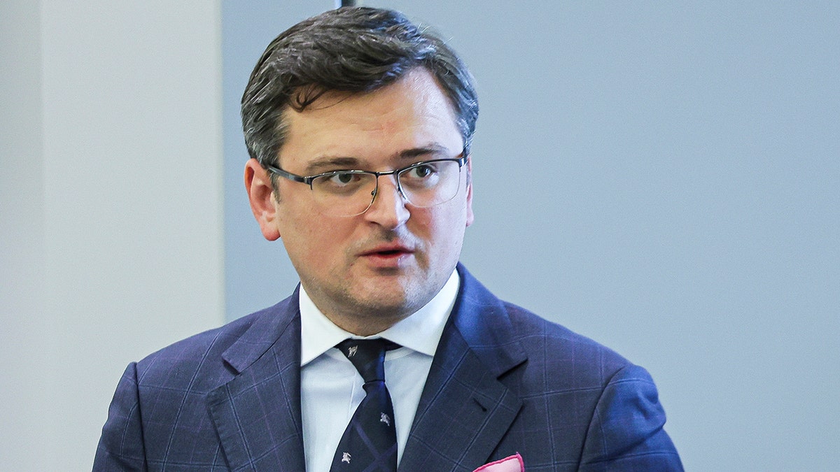 Ukraine's Foreign Minister Dmytro Kuleba