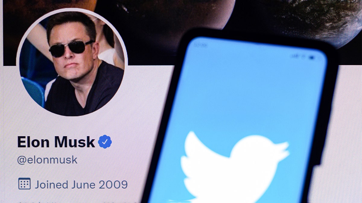 In this photo illustration, the Twitter logo is displayed on a smartphone with Elon Musk's official Twitter profile. (Photo Illustration by Rafael Henrique/SOPA Images/LightRocket via Getty Images)