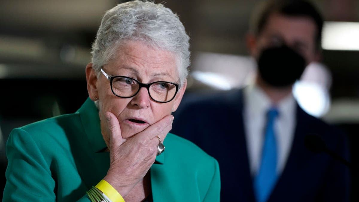 White House Climate Adviser Gina McCarthy