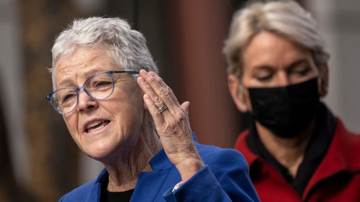 Gina McCarthy speaks