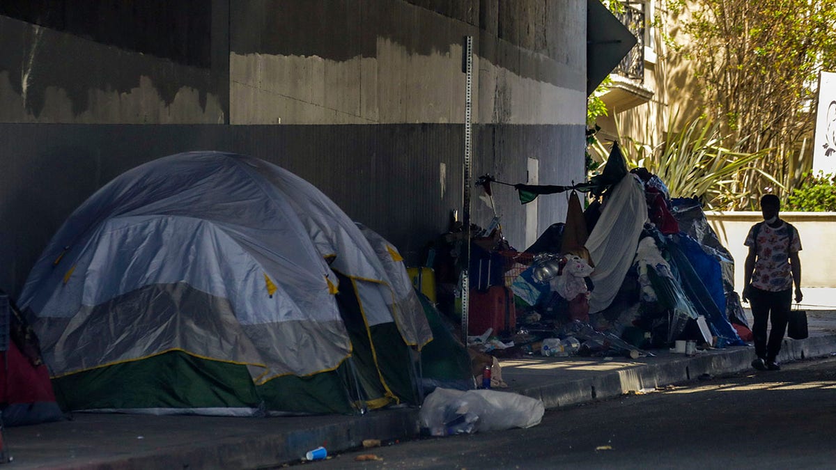 Los Angeles , CA - April 05: A homeless encampment blocks the sidewalk on Gower Street, under Hollywood freeway, on Tuesday, April 5, 2022 in Los Angeles , CA. 