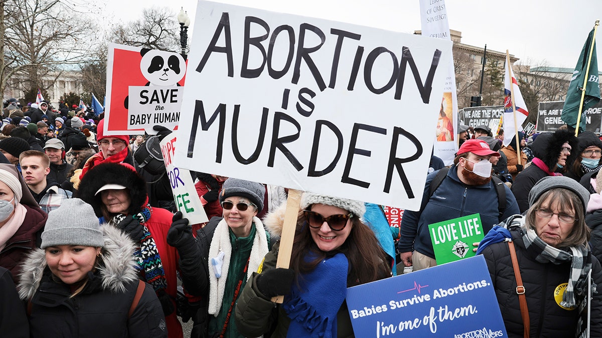 Pro-life protests in DC in April