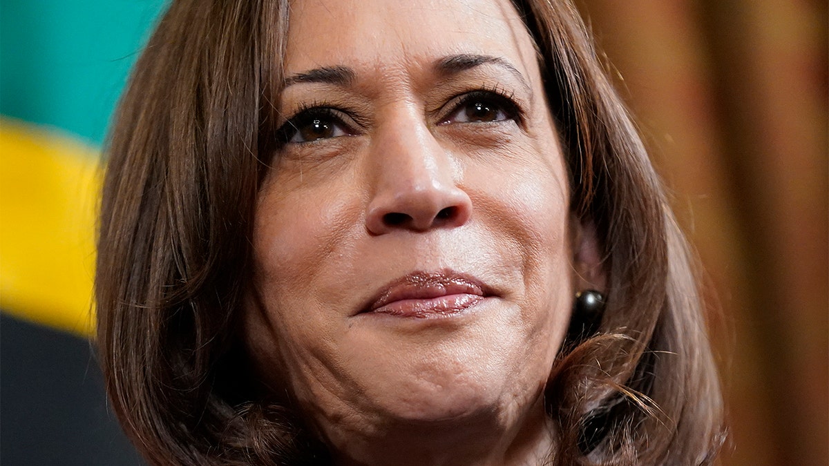 FILE - Vice President Kamala Harris meets with Tanzanian President Samia Suluhu Hassan in Harris' ceremonial office in the Eisenhower Executive Office Building on the White House campus, April 15, 2022, in Washington. (AP Photo/Patrick Semansky, File)