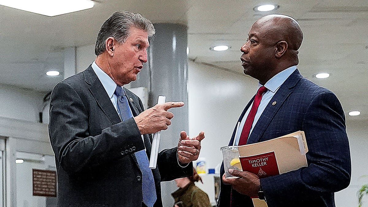 Joe Manchin and Tim Scott