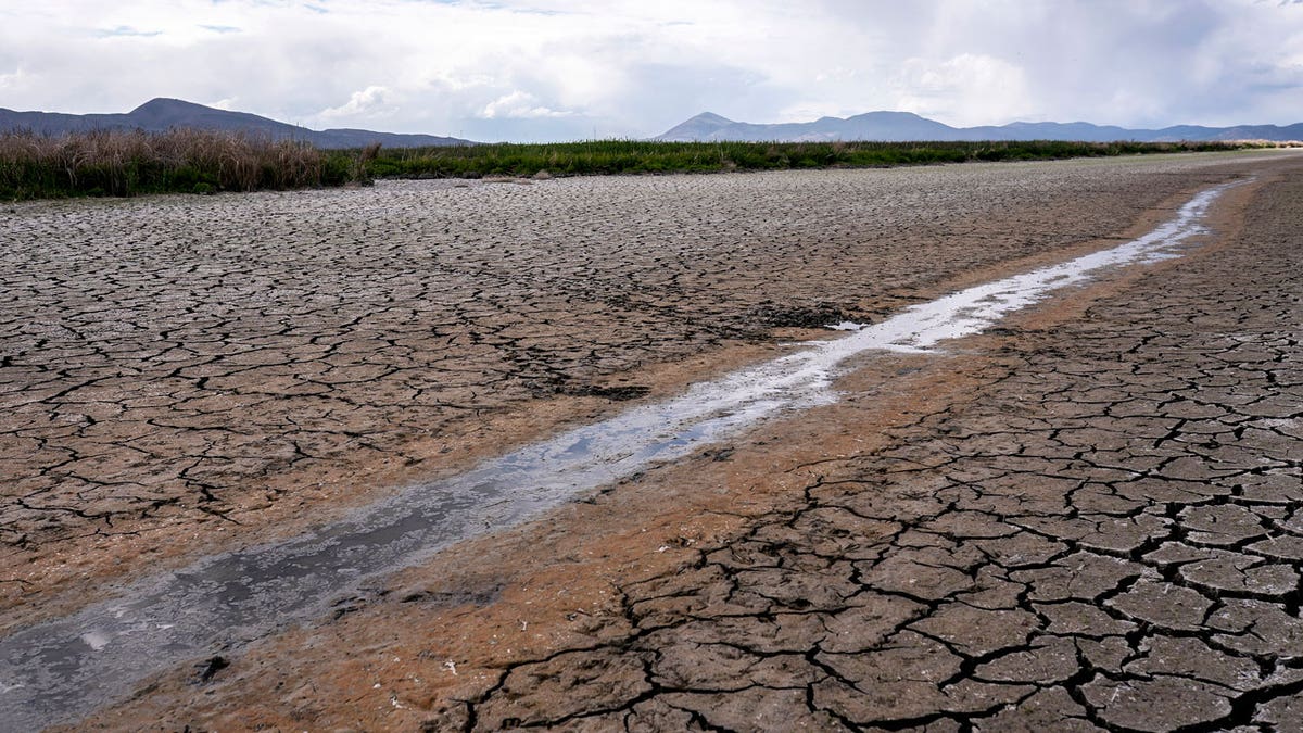 A small stream runs through the dried, cracked earth of a former wetland near Tulelake, California, on June 9, 2021. (AP Photo/Nathan Howard, File)
