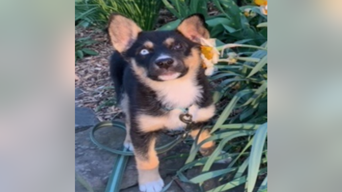 Pablo