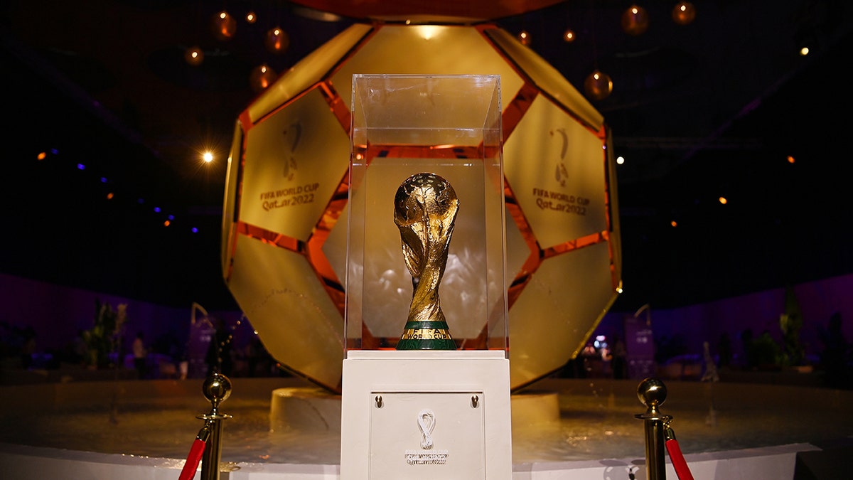 World Cup draw