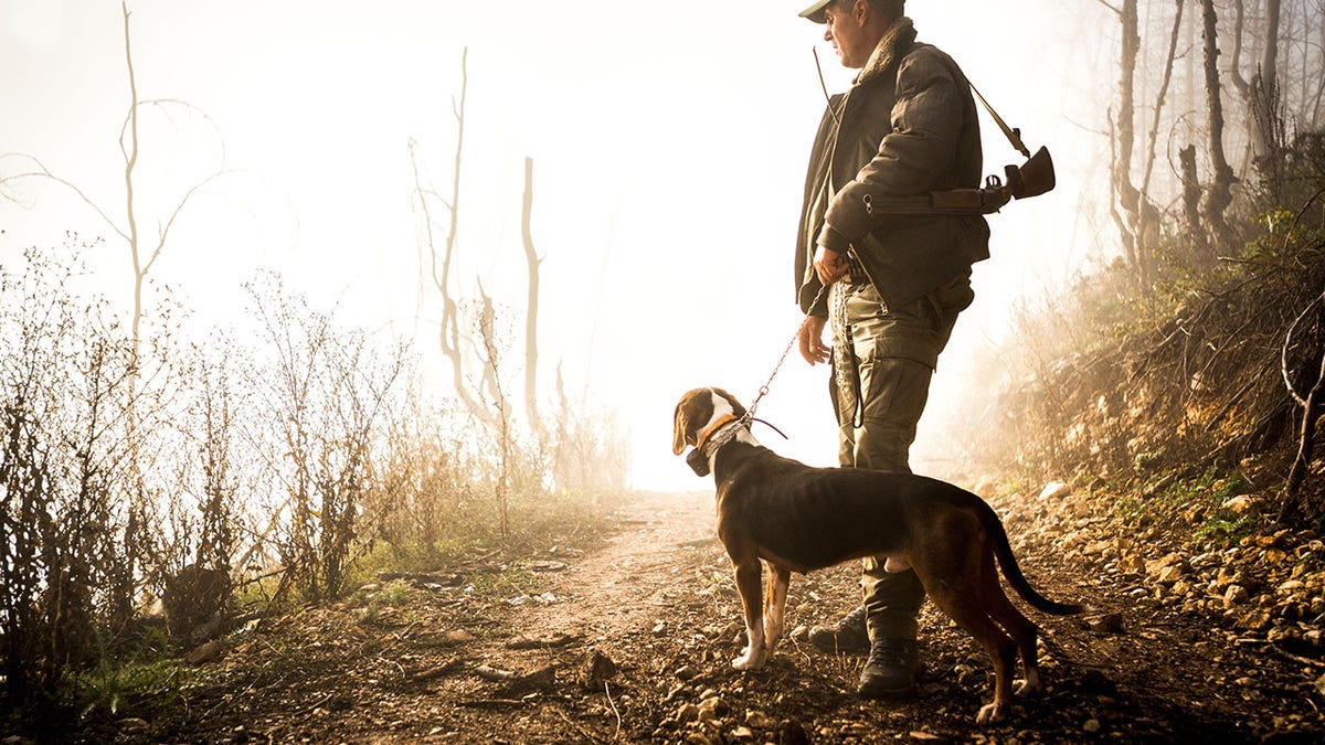 Hunter and his dog in the forest