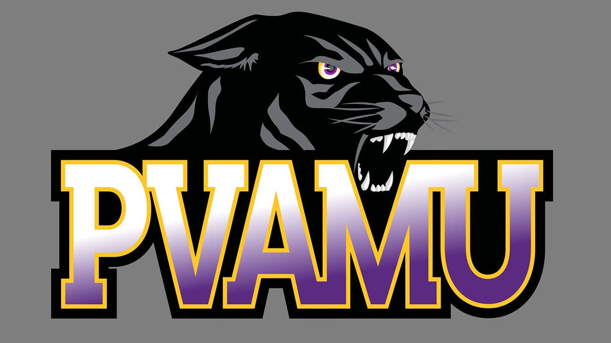 Prairie View A&amp;M University Panthers logo, graphic element on gray