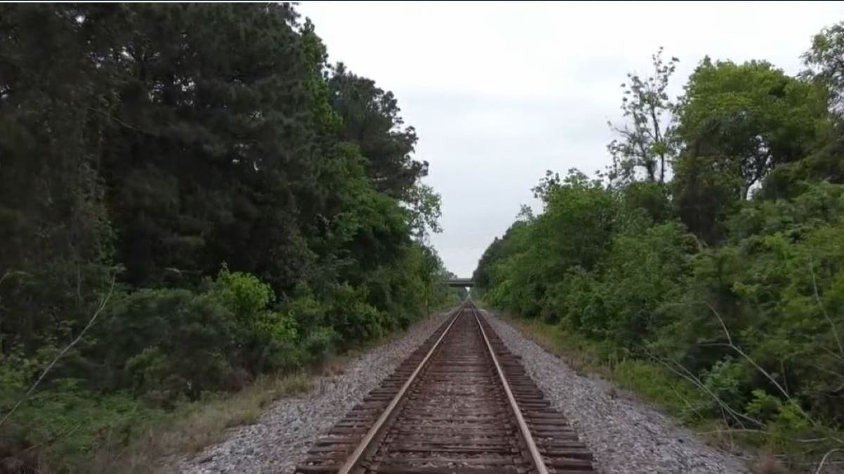 Photo of railroad tracks where Diva and Murphy were found dead