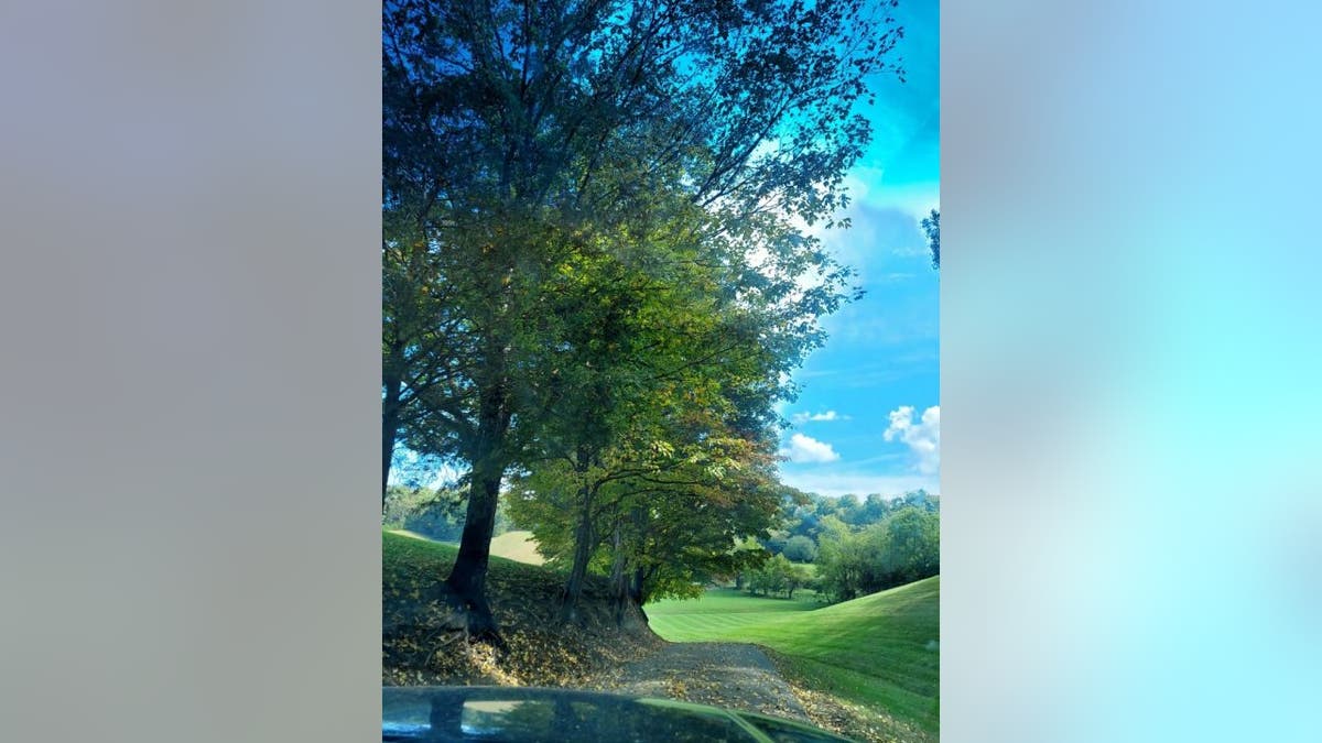 Property photo of Red Top Smoky Mountain Lodging's treeline