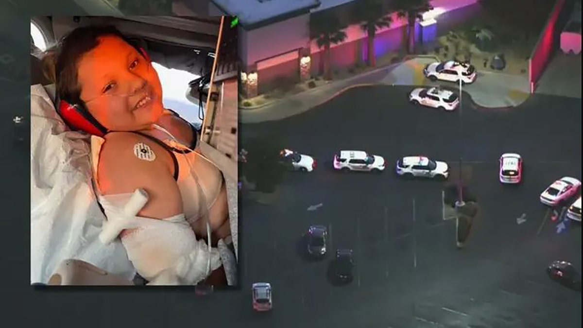 A 9-year-old California girl who was mistakenly shot Tuesday at a mall when a store owner opened fire on alleged shoplifters was waiting to take photos with the Easter Bunny, according to a local report.