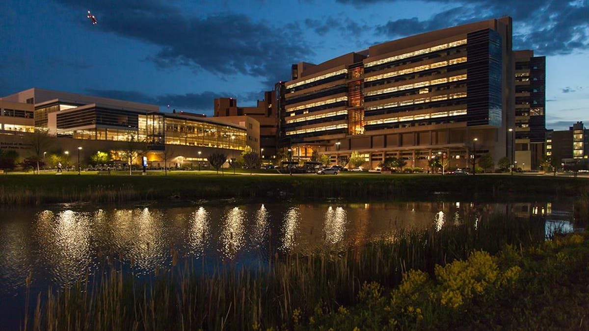 The University of Wisconsin medical school's campus. 