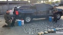 Hundreds of shark fins found at Texas restaurant