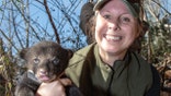Black Bear Cubs-Den Traci Wood