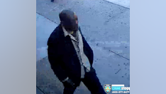 NYPD looking for man who allegedly stole flatbed truck, struck pedestrian in hit-and-run caught on camera