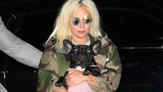 Lady Gaga dog walker shooting suspect released from jail by mistake