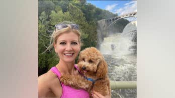 Orsolya Gaal case: Despite lack of updates, NYPD knows a lot about night of murder, experts say