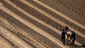 Second horse in 2 days dies in training at Santa Anita