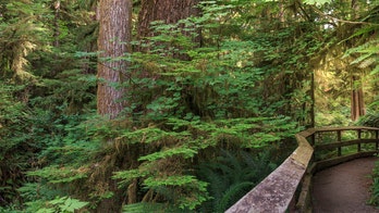 Washington state sees spike in smash-and-grabs at trailheads, prompting more patrols