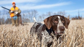Woman 'shocked' to learn of mother's hunting past when she sees photo of mom holding a rifle