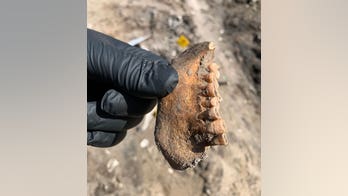 Florida authorities investigating suspected human bones unearthed at construction site